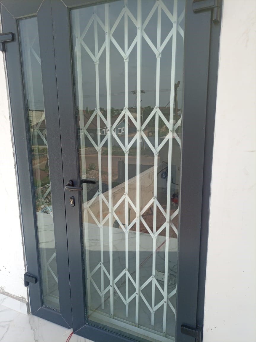 Dark aluminum-framed security glass door